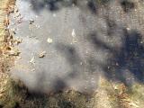 image of grave number 757949